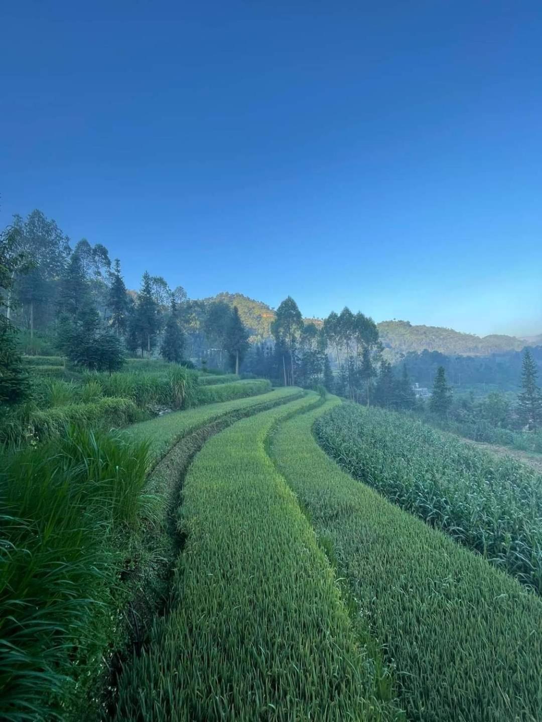Dong Van Hmong Homestay Exterior photo
